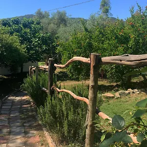 S'imbragu Farm Bed & Breakfast